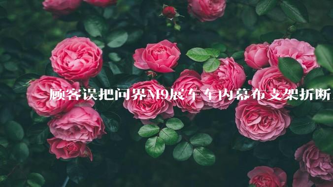 顾客误把问界M9展车车内幕布支架折断，被要求赔偿7000-10000元，你怎么看？